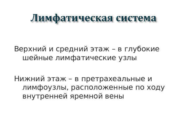 Верхний и средний этаж – в глубокие шейные лимфатические узлы Нижний этаж – в претрахеальные и лимфоузлы, расположенные по ходу внутренней яремной вены