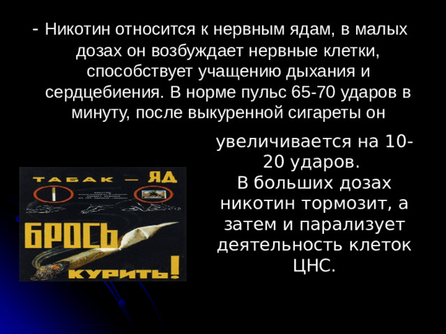 увеличивается на 10-20 ударов. В больших дозах никотин тормозит, а затем и парализует деятельность клеток ЦНС. - Никотин относится к нервным ядам, в малых дозах он возбуждает нервные клетки, способствует учащению дыхания и сердцебиения. В норме пульс 65-70 ударов в минуту, после выкуренной сигареты он