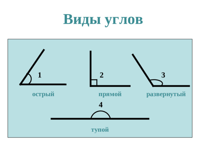 Виды углов 1 2 3 острый прямой развернутый 4 тупой