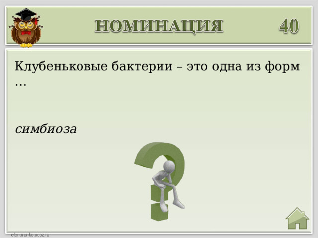 Клубеньковые бактерии – это одна из форм … симбиоза