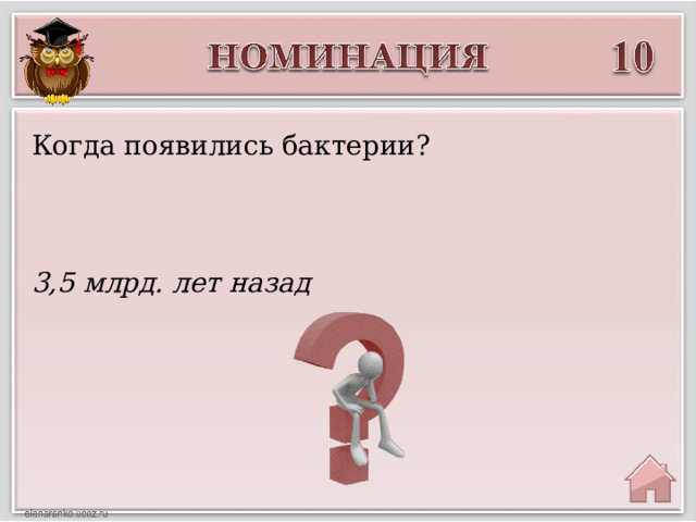 Когда появились бактерии? 3,5 млрд. лет назад