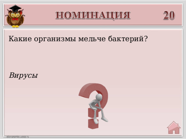 Какие организмы мельче бактерий? Вирусы