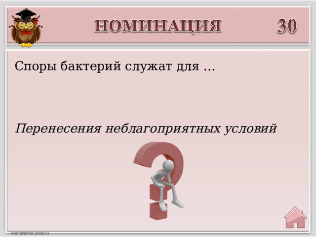 Споры бактерий служат для … Перенесения неблагоприятных условий