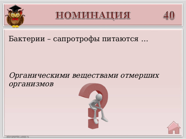 Бактерии – сапротрофы питаются … Органическими веществами отмерших организмов