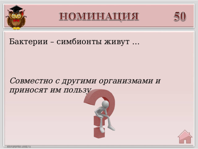 Бактерии – симбионты живут … Совместно с другими организмами и приносят им пользу