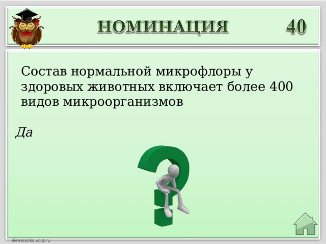 Состав нормальной микрофлоры у здоровых животных включает более 400 видов микроорганизмов Да