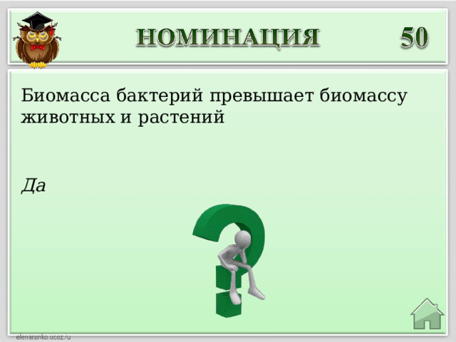 Биомасса бактерий превышает биомассу животных и растений Да