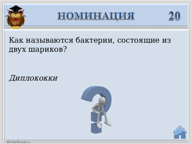 Как называются бактерии, состоящие из двух шариков? Диплококки