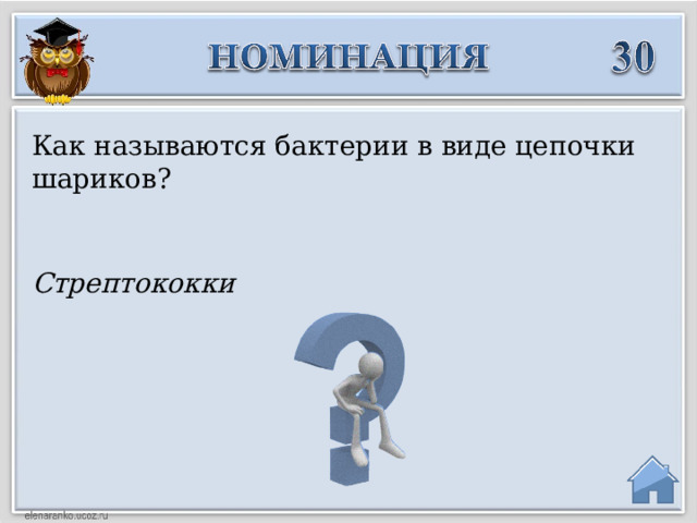 Как называются бактерии в виде цепочки шариков? Стрептококки