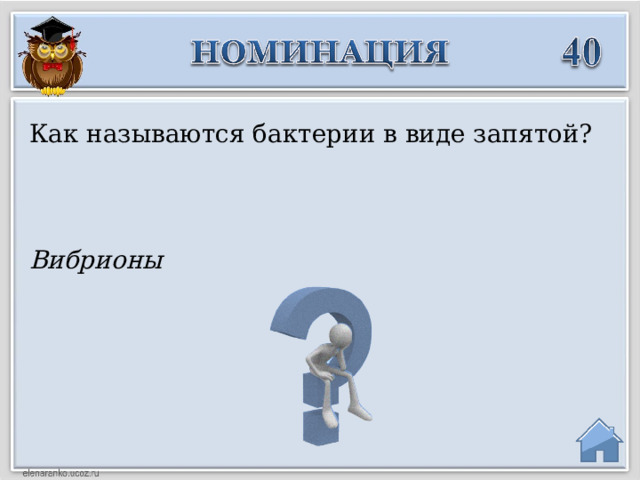 Как называются бактерии в виде запятой? Вибрионы