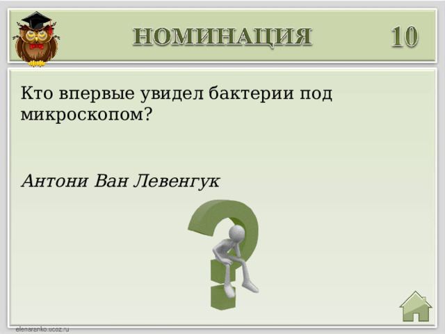 Кто впервые увидел бактерии под микроскопом? Антони Ван Левенгук