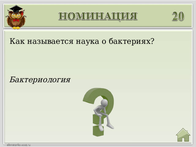 Как называется наука о бактериях? Бактериология