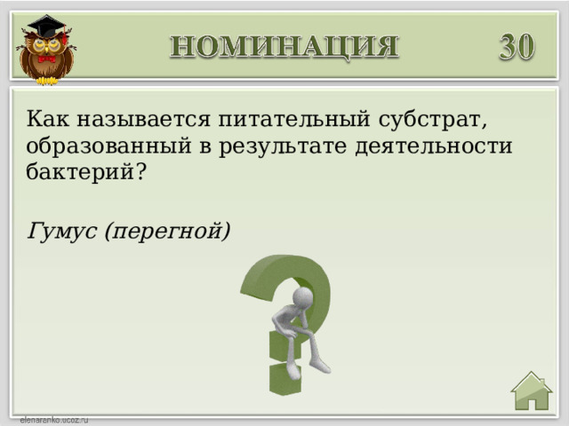 Как называется питательный субстрат, образованный в результате деятельности бактерий? Гумус (перегной)