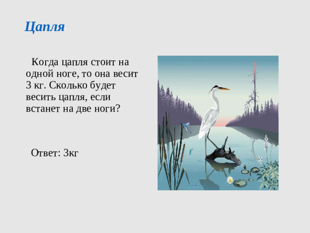 Цапля    Когда цапля стоит на одной ноге, то она весит 3 кг. Сколько будет весить цапля, если встанет на две ноги?  Ответ: 3кг