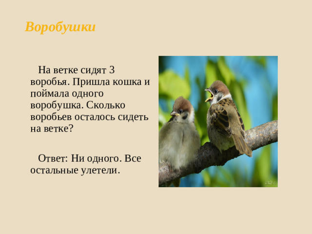 Воробушки    На ветке сидят 3 воробья. Пришла кошка и поймала одного воробушка. Сколько воробьев осталось сидеть на ветке ?  Ответ:  Ни одного. Все остальные улетели.