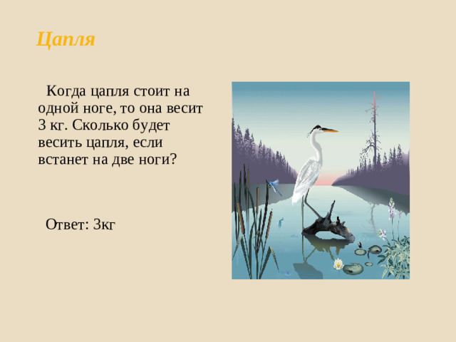 Цапля    Когда цапля стоит на одной ноге, то она весит 3 кг. Сколько будет весить цапля, если встанет на две ноги?  Ответ: 3кг