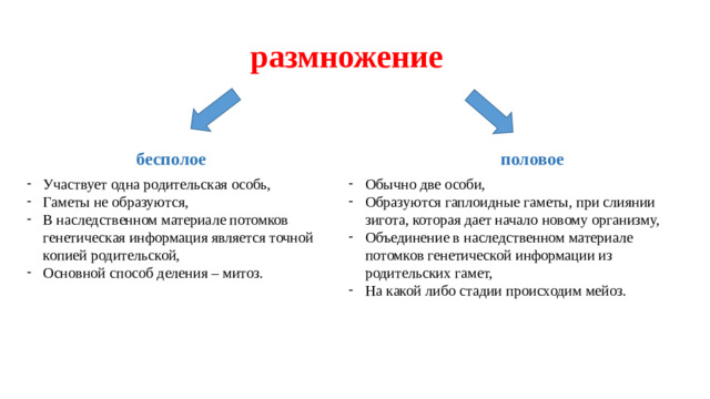 размножение бесполое половое