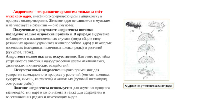 Андрогенез — это  развитие организма только за счёт мужского ядра , внесённого сперматозоидом в яйцеклетку в процессе оплодотворения. Женское ядро не сливается с мужским и не участвует в развитии — оно погибает.   Полученные в результате андрогенеза потомки наследуют только отцовские признаки . В природе  андрогенез наблюдается в исключительных случаях (когда яйцо в силу различных причин утрачивает жизнеспособное ядро) у некоторых насекомых (наездники, палочники, шелкопряды) и растений (кукуруза, табак).  Андрогенез можно вызвать искусственно . Для этого ядро яйца устраняют от участия в оплодотворении путём механических, физических и химических воздействий.    Искусственный андрогенез  широко применяют для ускорения селекционного процесса у растений (мягкая пшеница, кукуруза, ячмень, картофель) и животных (тутовый шелкопряд, осетровые рыбы).  Явление андрогенеза используется  для изучения процесса взаимодействия ядра и цитоплазмы, а также для сохранения и восстановления редких и исчезающих видов.