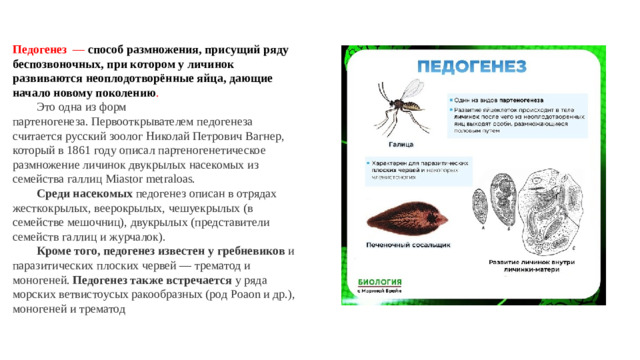 Педогенез  —   способ размножения, присущий ряду беспозвоночных, при котором у личинок развиваются неоплодотворённые яйца, дающие начало новому поколению .  Это одна из форм партеногенеза. Первооткрывателем педогенеза считается русский зоолог Николай Петрович Вагнер, который в 1861 году описал партеногенетическое размножение личинок двукрылых насекомых из семейства галлиц Miastor metraloas.   Среди насекомых  педогенез описан в отрядах жесткокрылых, веерокрылых, чешуекрылых (в семействе мешочниц), двукрылых (представители семейств галлиц и журчалок).   Кроме того, педогенез известен у гребневиков  и паразитических плоских червей — трематод и моногеней.  Педогенез также встречается  у ряда морских ветвистоусых ракообразных (род Poaon и др.), моногеней и трематод