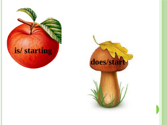 is/ starting does/start