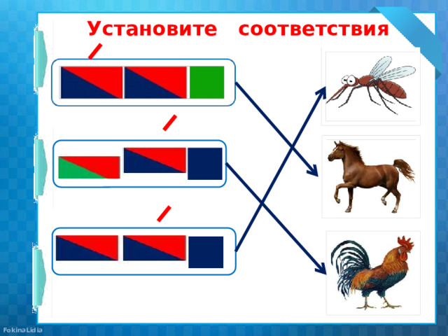 Установите соответствия