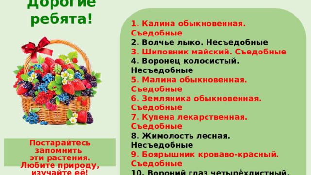 1.  Калина обыкновенная. Съедобные 2. Волчье лыко. Несъедобные 3. Шиповник майский. Съедобные 4. Воронец колосистый. Несъедобные 5. Малина обыкновенная. Съедобные 6. Земляника обыкновенная. Съедобные 7. Купена лекарственная. Съедобные 8. Жимолость лесная. Несъедобные 9. Боярышник кроваво-красный. Съедобные 10. Вороний глаз четырёхлистный. Несъедобные 11. Костяника обыкновенная. Съедобные 12. Черника обыкновенная. Съедобные 13. Ландыш майский. Несъедобные 14. Брусника обыкновенная. Съедобные 15. Паслён сладко-горький. Несъедобные Дорогие ребята! Постарайтесь запомнить эти растения. Любите природу, изучайте её!