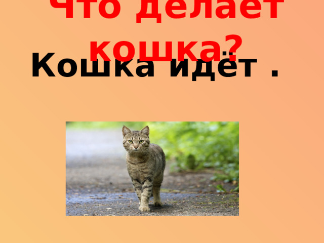 Что делает кошка? Кошка идёт .