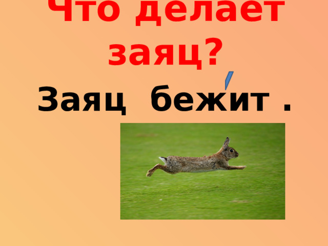 Что делает заяц? Заяц бежит .