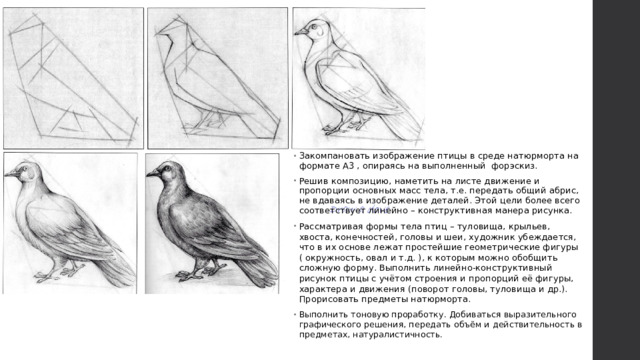 Закомпановать изображение птицы в среде натюрморта на формате А3 , опираясь на выполненный форэскиз. Решив композицию, наметить на листе движение и пропорции основных масс тела, т.е. передать общий абрис, не вдаваясь в изображение деталей. Этой цели более всего соответствует линейно – конструктивная манера рисунка. Рассматривая формы тела птиц – туловища, крыльев, хвоста, конечностей, головы и шеи, художник убеждается, что в их основе лежат простейшие геометрические фигуры ( окружность, овал и т.д. ), к которым можно обобщить сложную форму. Выполнить линейно-конструктивный рисунок птицы с учётом строения и пропорций её фигуры, характера и движения (поворот головы, туловища и др.). Прорисовать предметы натюрморта.  Выполнить тоновую проработку. Добиваться выразительного графического решения, передать объём и действительность в предметах, натуралистичность.