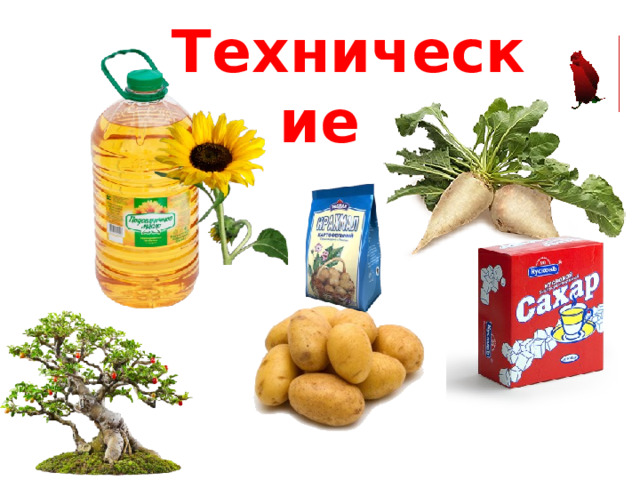 Технические