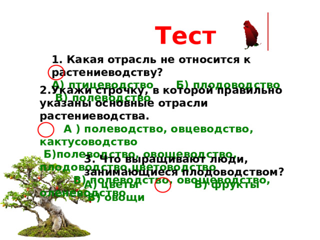 Тест 1. Какая отрасль не относится к растениеводству? А) птицеводство Б) плодоводство В) полеводство 2.Укажи строчку, в которой правильно указаны основные отрасли растениеводства.  А ) полеводство, овцеводство, кактусоводство  Б)полеводство, овощеводство, плодоводство,цветоводство  В) полеводство, овощеводство, оленеводство 3. Что выращивают люди, занимающиеся плодоводством? А) цветы Б) фрукты В) овощи