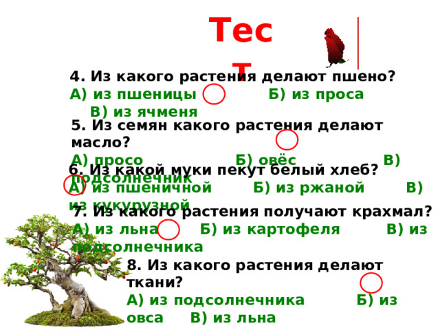 Тест 4. Из какого растения делают пшено? А) из пшеницы Б) из проса В) из ячменя 5. Из семян какого растения делают масло? А) просо Б) овёс В) подсолнечник   6. Из какой муки пекут белый хлеб? А) из пшеничной Б) из ржаной В) из кукурузной 7. Из какого растения получают крахмал? А) из льна Б) из картофеля В) из подсолнечника 8. Из какого растения делают ткани? А) из подсолнечника Б) из овса В) из льна