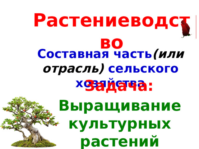 Растениеводство Составная часть (или отрасль) сельского хозяйства Задача: Выращивание культурных растений