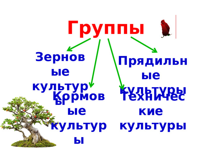 Группы  Зерновые культуры Прядильные культуры Кормовые культуры Технические культуры