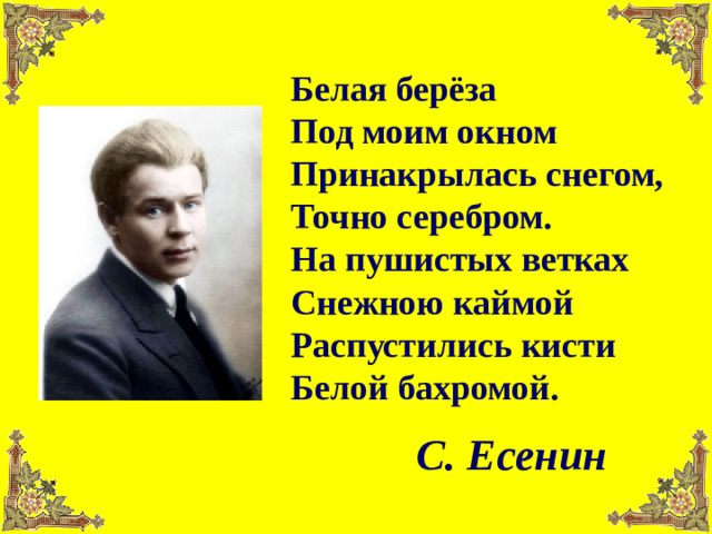 Белая берёза Под моим окном Принакрылась снегом, Точно серебром. На пушистых ветках Снежною каймой Распустились кисти Белой бахромой. С. Есенин