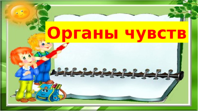 Органы чувств