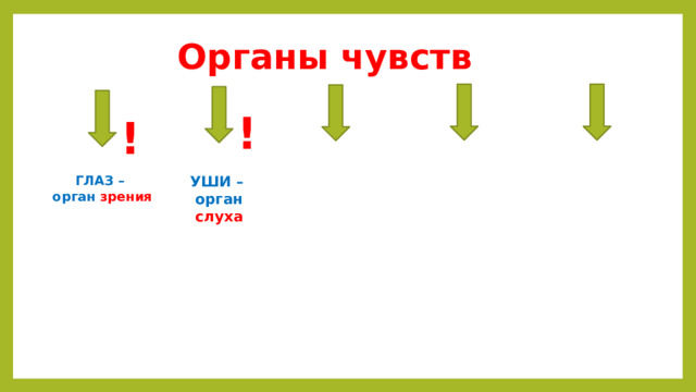 Органы чувств  ! ! ГЛАЗ – УШИ – орган зрения орган слуха