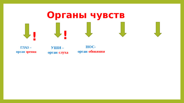 Органы чувств  ! ! НОС- орган обоняния ГЛАЗ – УШИ – орган зрения орган слуха