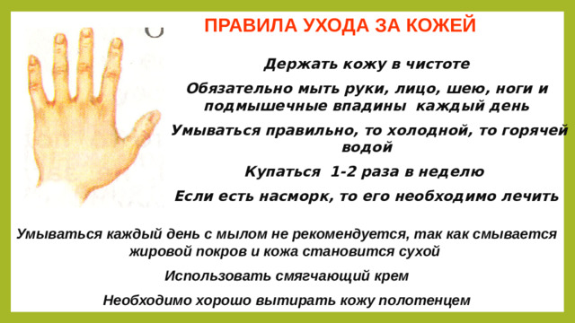 ПРАВИЛА УХОДА ЗА КОЖЕЙ Держать кожу в чистоте Обязательно мыть руки, лицо, шею, ноги и подмышечные впадины каждый день  Умываться правильно, то холодной, то горячей водой Купаться 1-2 раза в неделю Если есть насморк, то его необходимо лечить     Умываться каждый день с мылом не рекомендуется, так как смывается жировой покров и кожа становится сухой Использовать смягчающий крем Необходимо хорошо вытирать кожу полотенцем