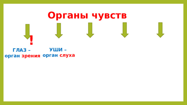 Органы чувств  ! УШИ  – орган слуха ГЛАЗ  – орган зрения