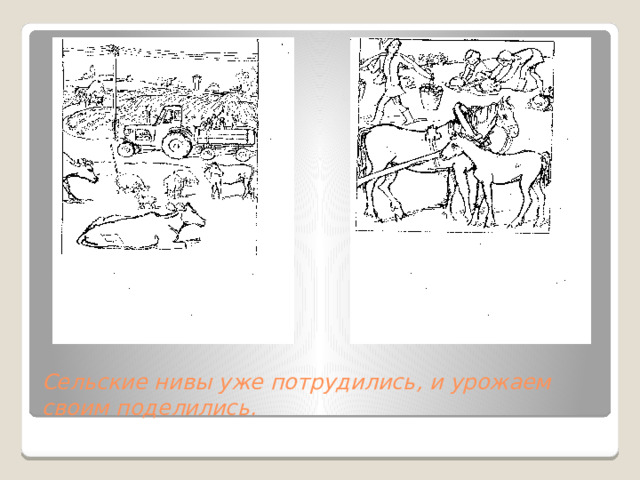 Сельские нивы уже потрудились, и урожаем своим поделились.