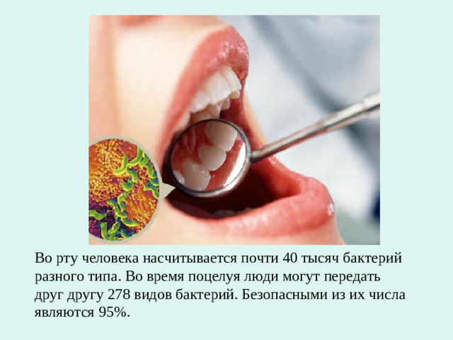 Во рту человека насчитывается почти 40 тысяч бактерий разного типа. Во время поцелуя люди могут передать друг другу 278 видов бактерий. Безопасными из их числа являются 95%.