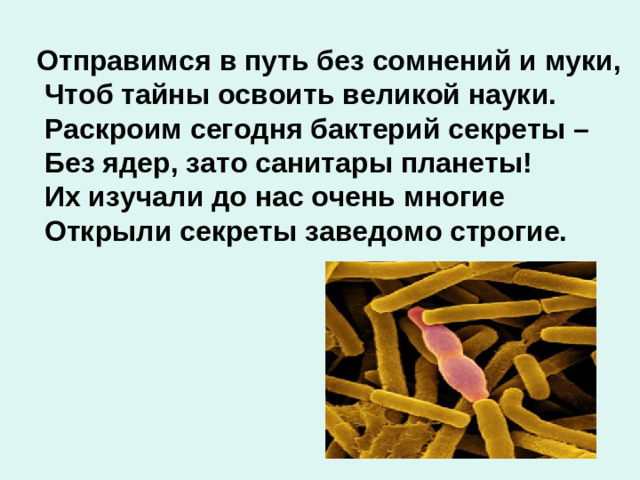 Отправимся в путь без сомнений и муки,  Чтоб тайны освоить великой науки.  Раскроим сегодня бактерий секреты –  Без ядер, зато санитары планеты!  Их изучали до нас очень многие  Открыли секреты заведомо строгие.