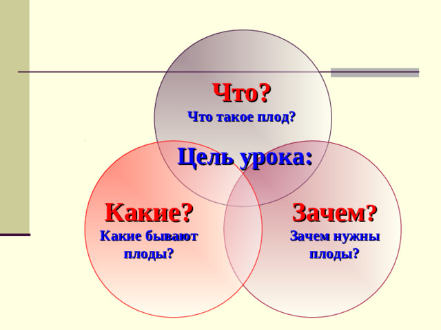 Что? Что такое плод? Цель урока:  Зачем ?  Какие? Зачем нужны плоды? Какие бывают плоды?