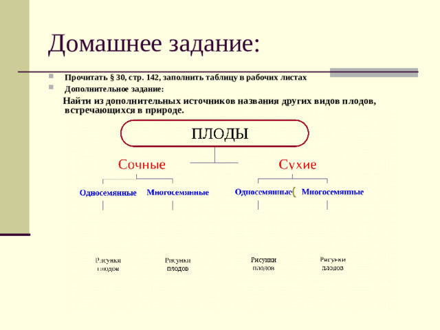 Домашнее задание: Прочитать § 30, стр. 142, заполнить таблицу в рабочих листах Дополнительное задание:   Найти из дополнительных источников названия других видов плодов, встречающихся в природе. ПЛОДЫ Сочные Сухие Многосемянные Односемянные  Многосемянные  Односемянные     Рисунки плодов     Рисунки плодов      Рисунки плодов      Рисунки плодов