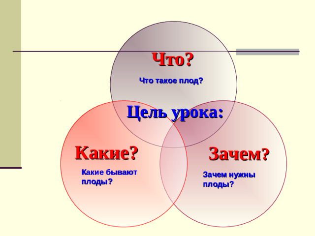 Что? Что такое плод? Цель урока:  Зачем ?   Какие?  Какие бывают плоды? Зачем нужны плоды?