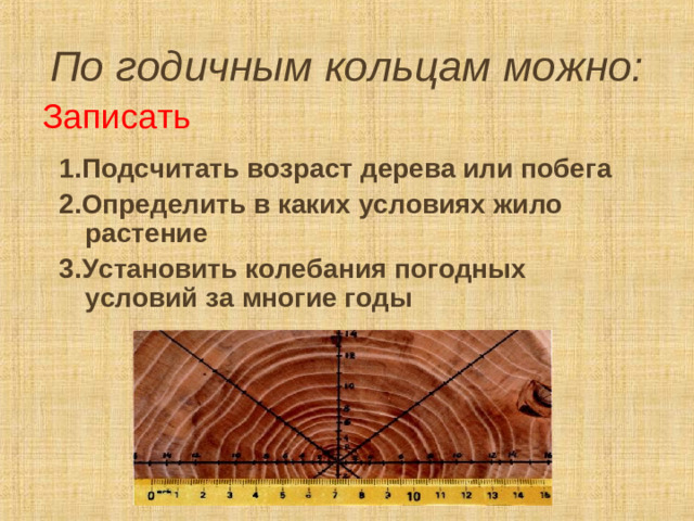 По годичным кольцам можно: Записать 1.Подсчитать возраст дерева или побега 2.Определить в каких условиях жило растение 3.Установить колебания погодных условий за многие годы