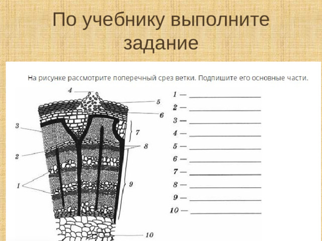 По учебнику выполните задание