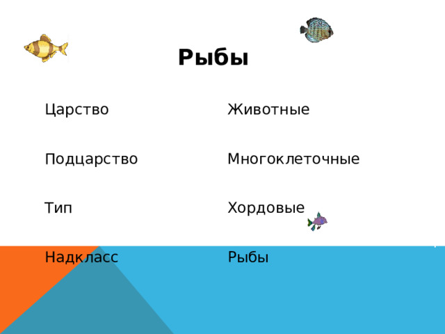 Рыбы Царство Животные Подцарство Многоклеточные Тип Хордовые Надкласс Рыбы