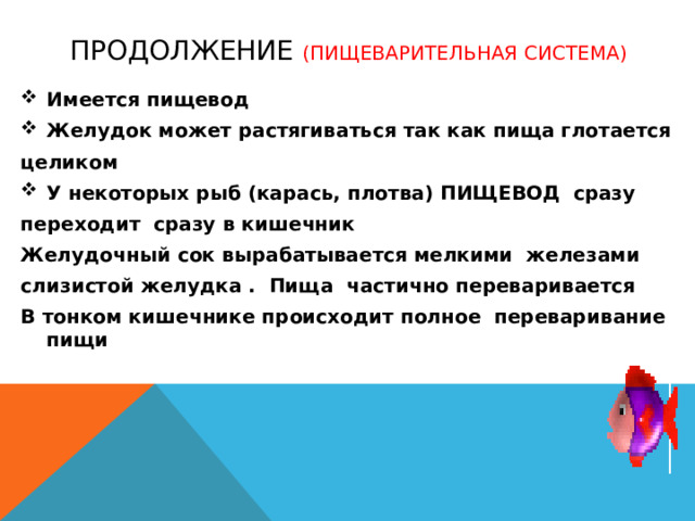 Продолжение (пищеварительная система) Имеется пищевод Желудок может растягиваться так как пища глотается целиком У некоторых рыб (карась, плотва) ПИЩЕВОД сразу переходит сразу в кишечник Желудочный сок вырабатывается мелкими железами слизистой желудка . Пища частично переваривается В тонком кишечнике происходит полное переваривание пищи